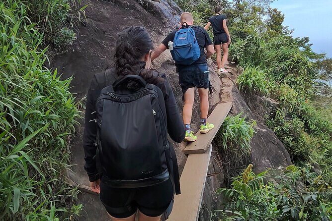 Pedra da Gavea Hiking Tour - Price and Value: What $55 Buys You Here