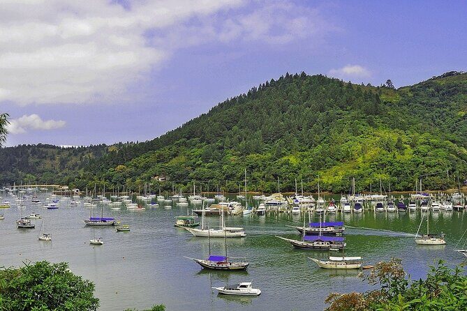 Private Angra do Reis Full-Day Tour from Rio de Janeiro - Swimming stops that fit a one-day route