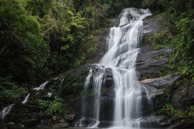 Private Sugarloaf Mountain and Tijuca Forest Tour - How This Half-Day Rio Plan Saves You Time (and Headaches)