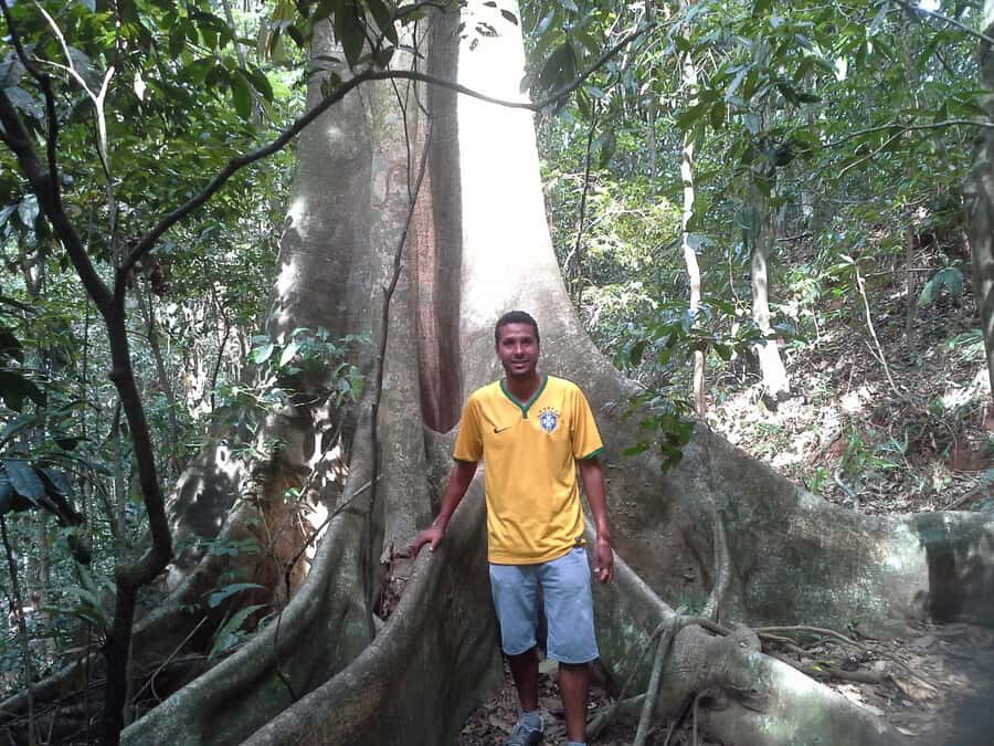 Private Tijuca Forest & Botanical Garden Guided Tour - Key highlights worth getting excited about