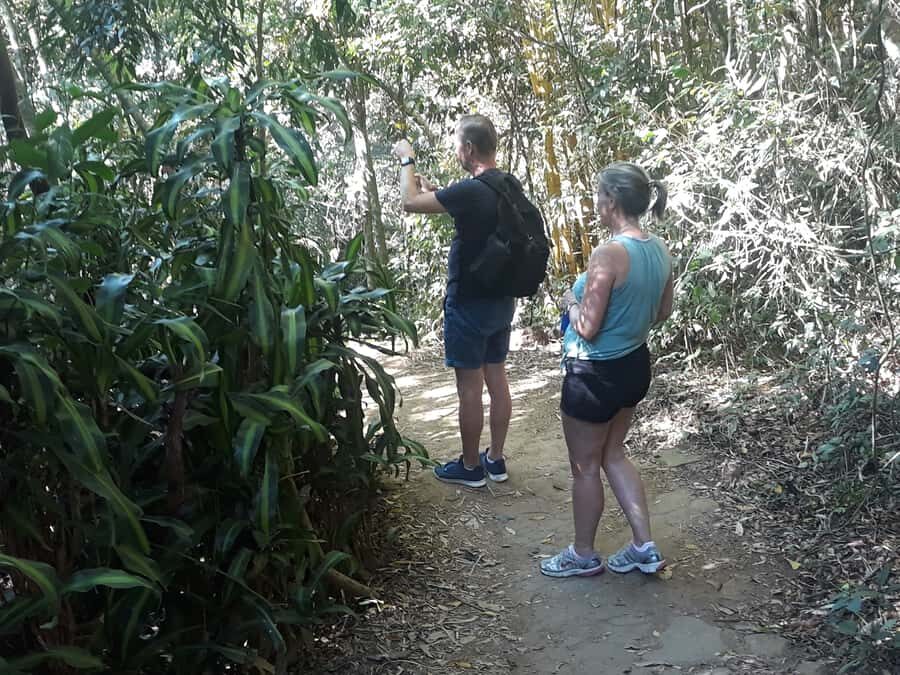 Private Tijuca Forest & Botanical Garden Guided Tour - What to bring so the day stays pleasant
