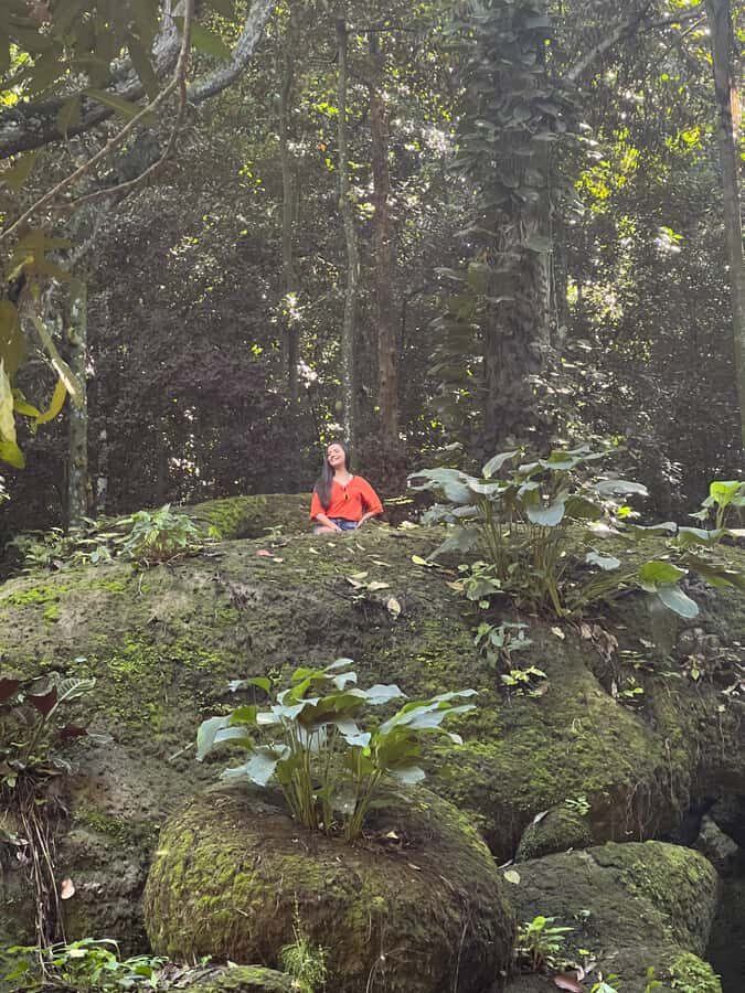 Private Tijuca Forest & Botanical Garden Guided Tour - Rio in 5 hours: Tijuca Forest, waterfall, and Botanical Garden
