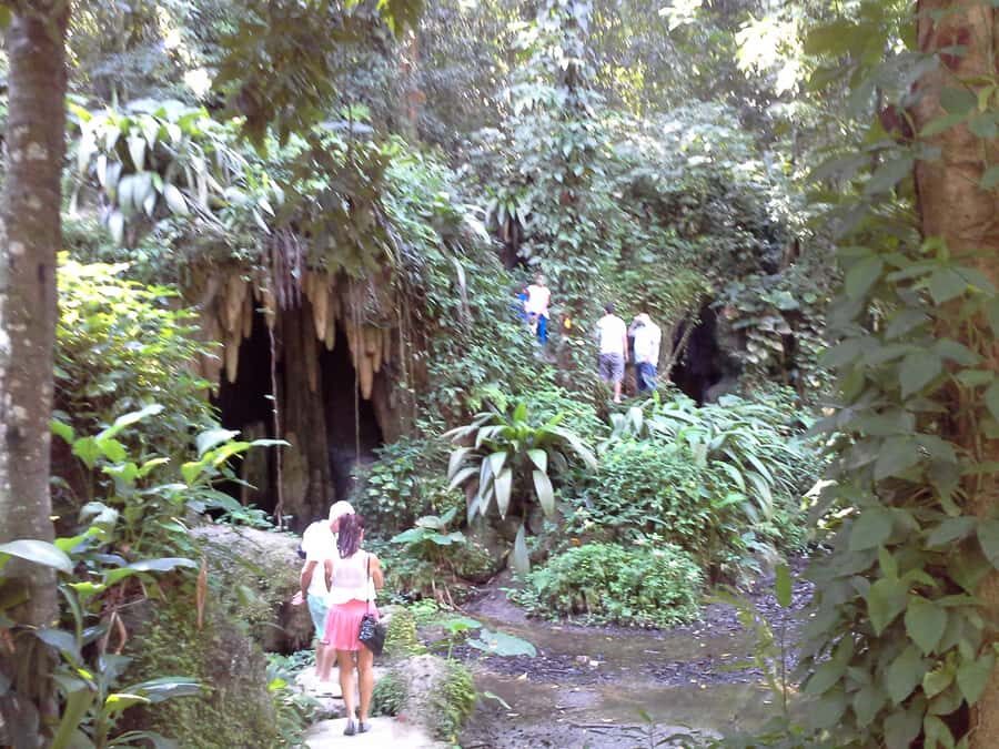 Private Tijuca Forest & Botanical Garden Guided Tour - Panoramic views on the way back