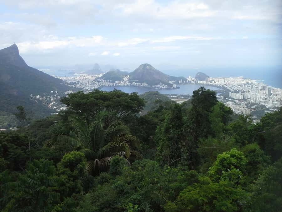 Private Tijuca Forest & Botanical Garden Guided Tour - Rio Botanical Garden: sensory garden, palms, and plant geek joy