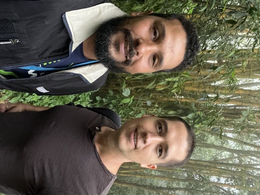 Private Tijuca Forest & Botanical Garden Guided Tour - Price and value: why $80 can make sense here