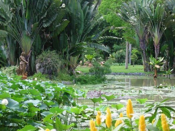 Private Tour: Explore Rio creating your own Itinerary - Why This Private Rio Day Works Better Than a Fixed Tour