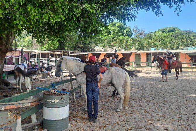 Quilombo Visit with Horse Backriding in Beach and Waterfall Tour - Key things that make this tour worth your attention
