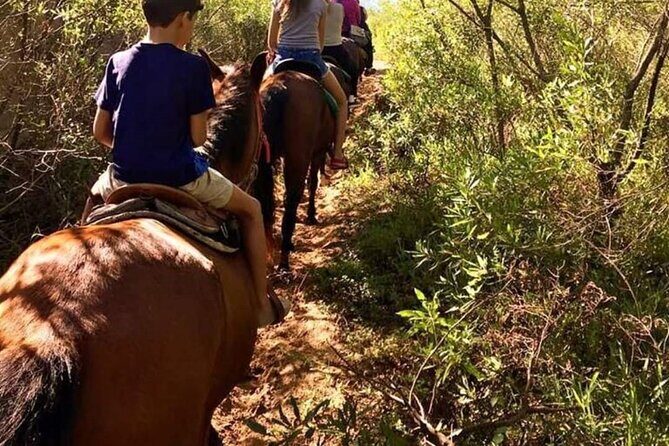 Quilombo Visit with Horse Backriding in Beach and Waterfall Tour - Hotel pickup along Ipanema, Copacabana, Leblon, and Barra
