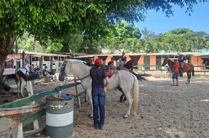 Quilombo Visit with Horse Backriding in Beach and Waterfall Tour - Who this tour suits (and who might want a different plan)