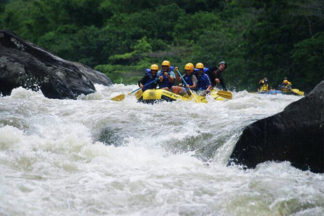 Rafting Tour in Rio de Janeiro - Key highlights to know before you go