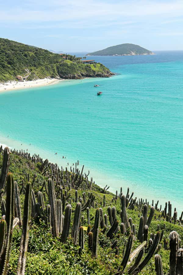 Rio: Best Dive Experience All Inclusive Scuba Diving Package - Snacks, the return to Rio, and how to handle lunch on your own