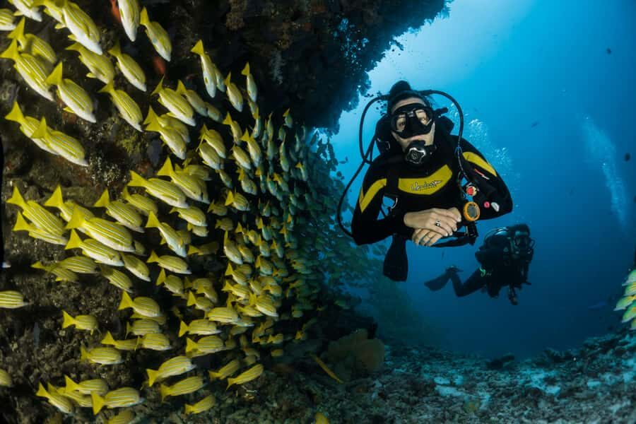 Rio: Best Dive Experience All Inclusive Scuba Diving Package - The Rio pickup and the 2.5-hour drive that sets your timing