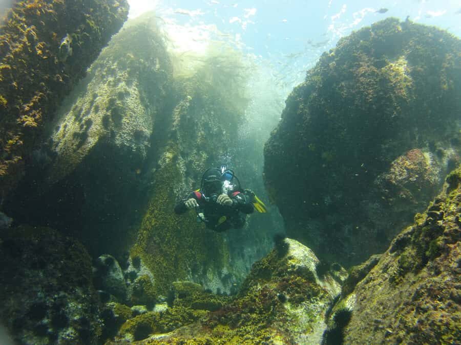 Rio de Janeiro: Arraial do Cabo Scuba Diving Day Trip - Underwater Time Plan: Tanks, Depth, and Gear Setup