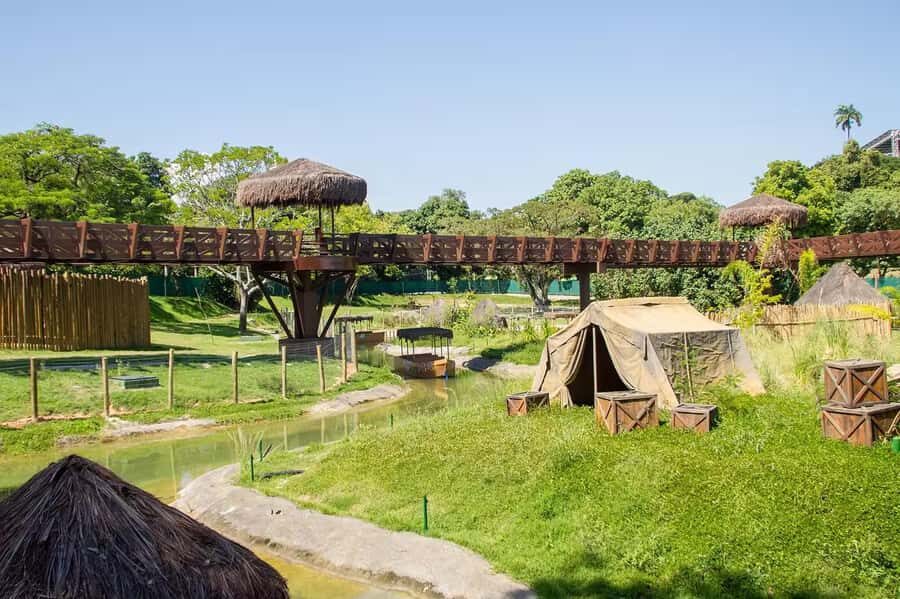 Rio de Janeiro: BioParque Guided Tour with Transfer - Over 1,000 animals and 51 enclosures: what to watch for during the walk