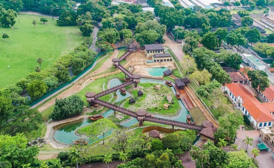Rio de Janeiro: BioParque Guided Tour with Transfer - Should you book this Rio de Janeiro BioParque guided tour?