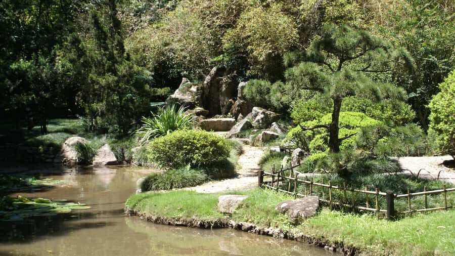 Rio de Janeiro: Botanical Garden Guided Visit - Price and Value for an Afternoon of Nature, History, and Transfers