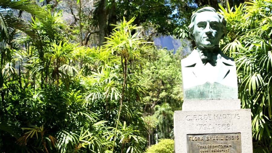 Rio de Janeiro: Botanical Garden Guided Visit - Avenue of Royal Palms: The Straight-Line “Wow” Moment
