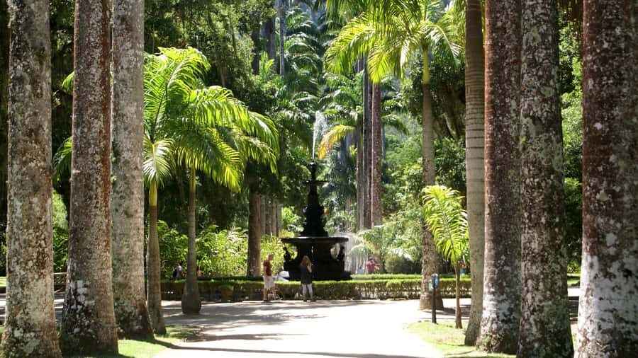 Rio de Janeiro: Botanical Garden Guided Visit - Japanese Garden Serenity: A Calm Corner in a Busy City