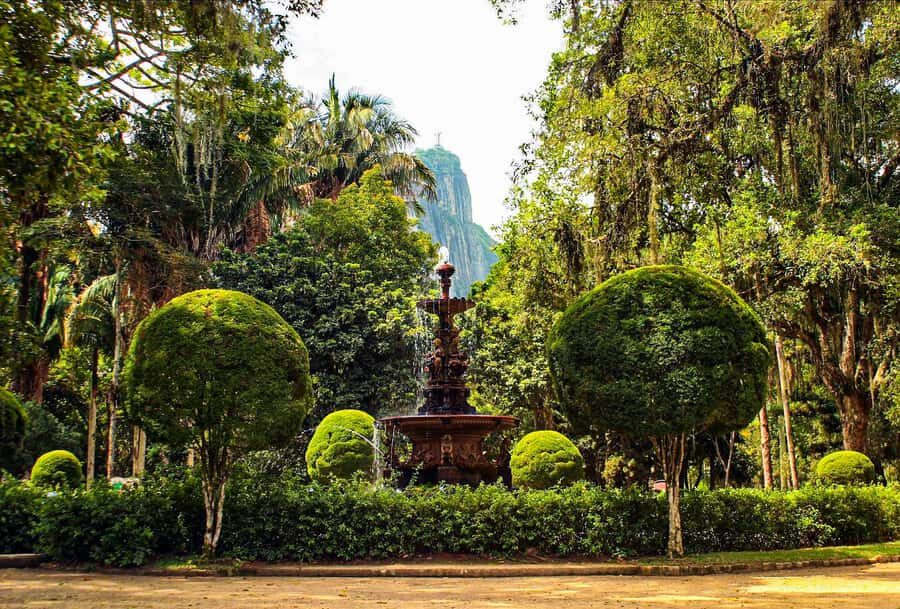 Rio de Janeiro: Botanical Garden Guided Visit - What Makes This Guided Walk Different: Flora, Fauna, and Real Monuments
