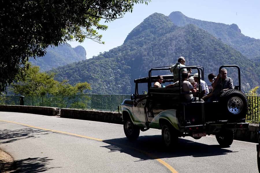 Rio de Janeiro: Botanical Garden & Tijuca Forest Guided Tour - Key things I’d plan around