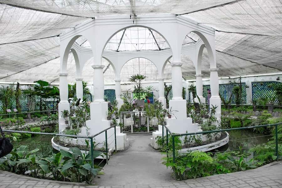 Rio de Janeiro: Botanical Garden & Tijuca Forest Guided Tour - Price and what you really get for $85