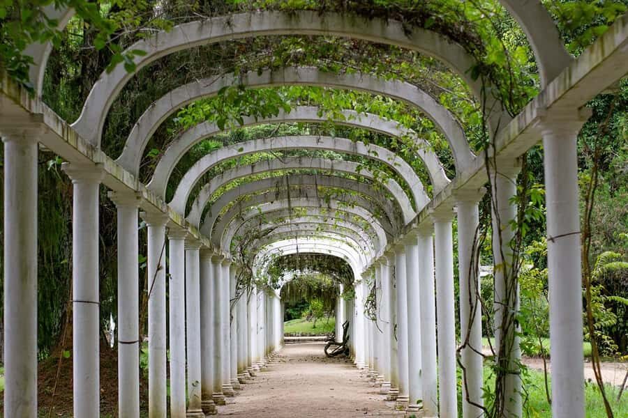 Rio de Janeiro: Botanical Garden & Tijuca Forest Guided Tour - What to bring for a comfortable 4 hours in open air