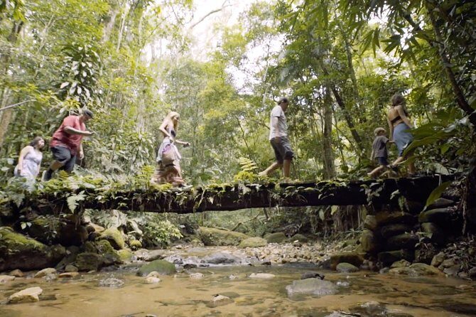 Rio de Janeiro - Jeep Tour Corcovado, Forest and Santa Teresa - Corcovado and Christ the Redeemer: 360º views, plus easier access options