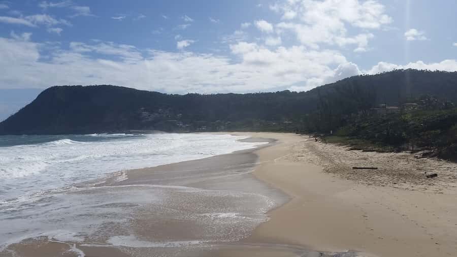 Rio de Janeiro: Niterói Day Trip - Timing, transport, lunch, and entrance fees: the stuff that controls your comfort