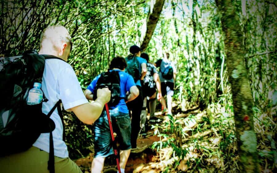 Rio de Janeiro: Tijuca Forest Challenge Hike Full-Day Trip - The Taquara Hill viewpoint and the trail that feels almost empty