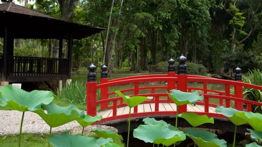 Rio de Janeiro: Tijuca National Park & Botanic Garden Tour - Wildlife rules that keep the experience respectful