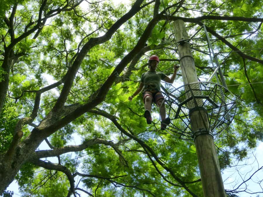 Rio de Janeiro: Zip Lining and Canopy Tree Tour - Who should reconsider