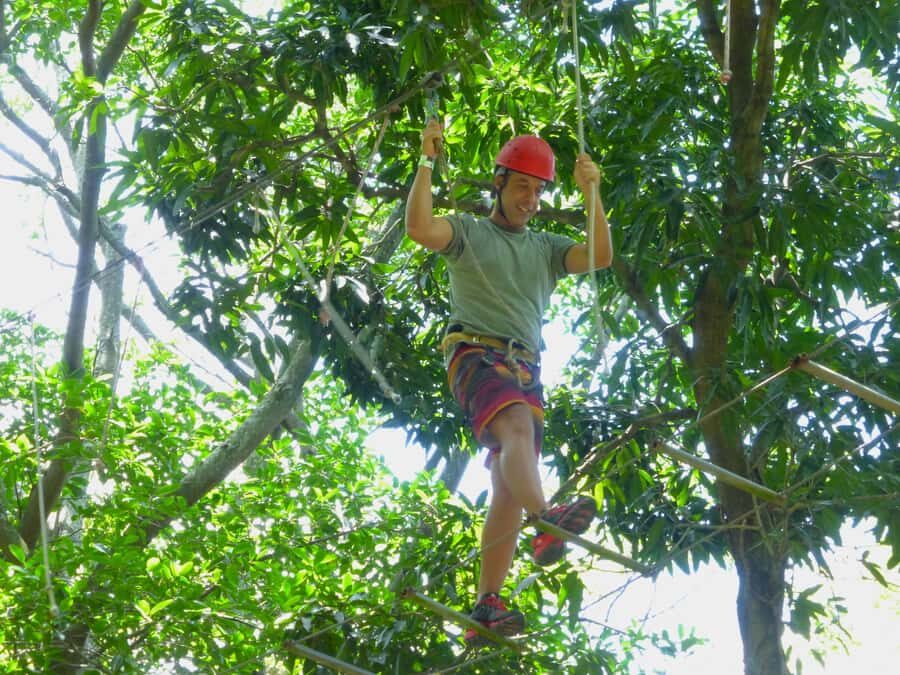 Rio de Janeiro: Zip Lining and Canopy Tree Tour - Zipline time: 30 minutes of treetop flight