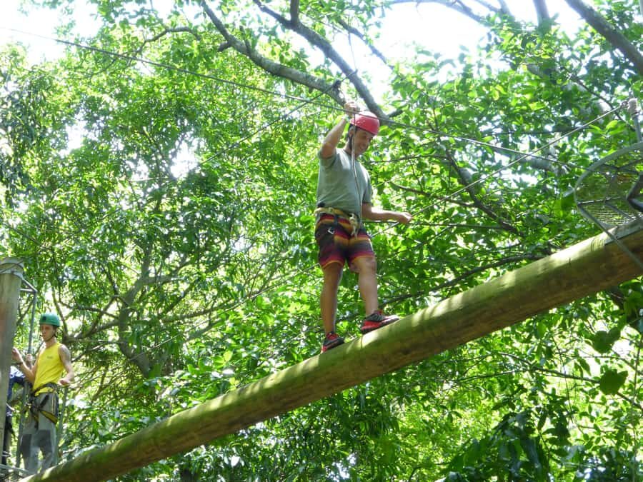 Rio de Janeiro: Zip Lining and Canopy Tree Tour - The 1-hour hike: easy grade, scenic payoff, and some work