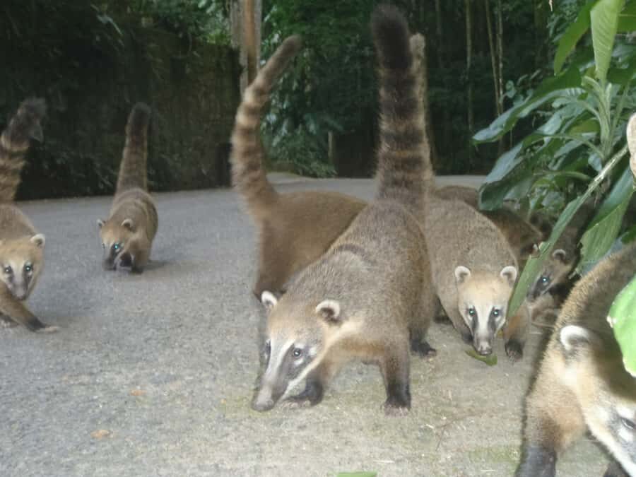 Rio: Private Tour 5 Hours Customized Tour With a Local Guide - Price and Value: Is $109 Per Person a Smart Deal?