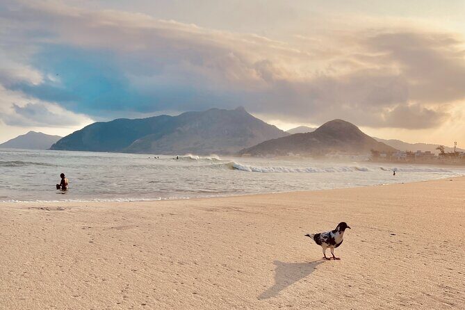 Rio private tour with English guide - What the Pro Photography Changes (and Why It Feels Worth It)