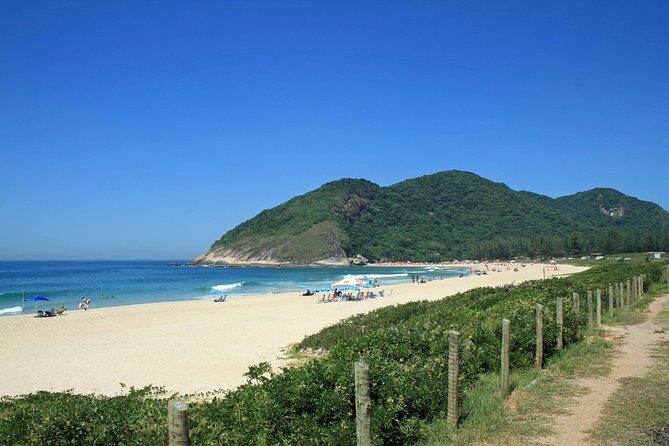 Rio´s Telegraph Rock, Gigóia Island and Wonders of the West Side - A West Rio day with beaches, a cliff, and swamp-side wildlife