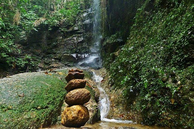 Tijuca Forest Hiking Tour including Waterfalls - Key things I’d watch for before you go
