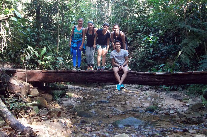 Tijuca Forest Hiking Tour including Waterfalls - Stop 1: entering Parque Nacional da Tijuca with context, not just footsteps