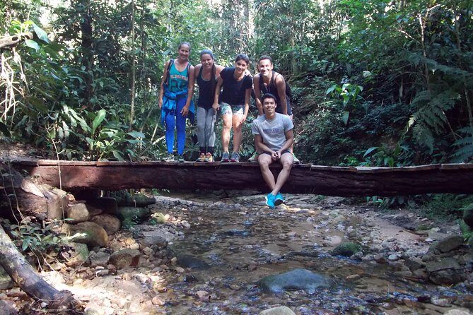 Tijuca Forest Hiking Tour including Waterfalls - Stop 2: Cascatinha Taunay, where the forest turns into sound