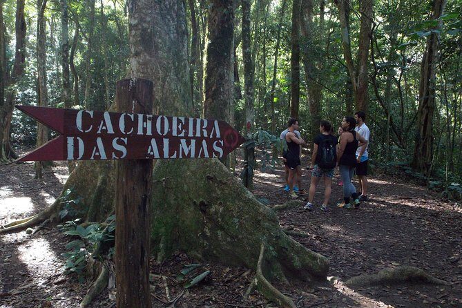 Tijuca Forest Hiking Tour including Waterfalls - Stop 3: the Tijuca National Park Visitor Center pause that keeps you moving smart