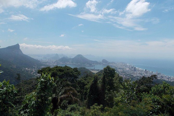 Tijuca Forest Jeep Tour - Key things to know before you go