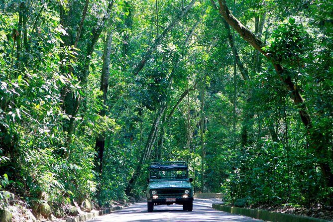 Tijuca Forest Jeep Tour - What to bring for a comfortable Jeep-to-forest day