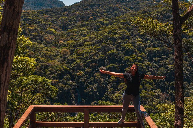 Tijuca Forest Trail - specialized guide and photos - Why this Tijuca Forest hike feels worth 4 hours
