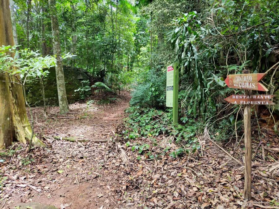 Tijuca Forest´s hike: caves, waterfalls and great views - Price and value: is $40 worth it?