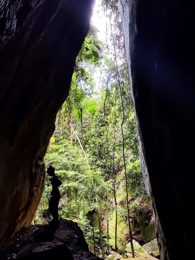 Tijuca Forest´s hike: caves, waterfalls and great views - Historical circuit stops: ruins, lakes, and why the past matters here
