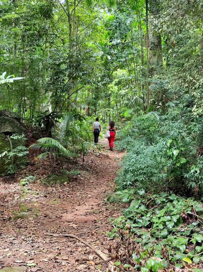 Tijuca Forest´s hike: caves, waterfalls and great views - Where you meet: Praça Afonso Viseu and the easy start