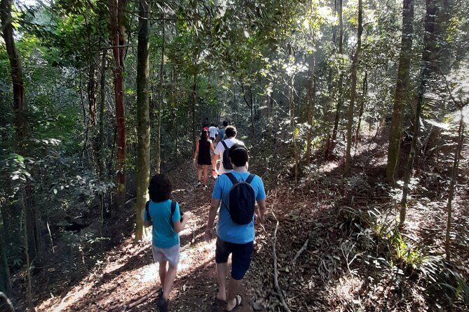 Tijuca National Park and all its wonders! - Why Tijuca Feels Like a Forest Escape From Rio