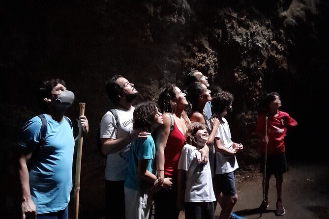 Tijuca National Park and all its wonders! - The Historical Circuit: Coffee and Livestock Routes Under the Canopy