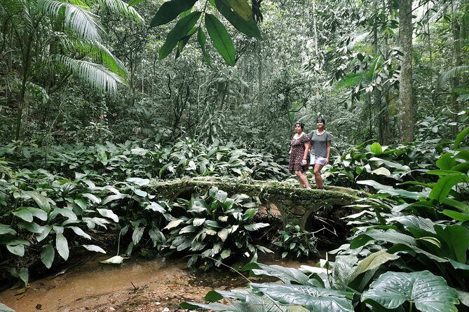 Tijuca National Park and all its wonders! - Taunay Waterfall: The Moment the Trail Feels Like a Reward