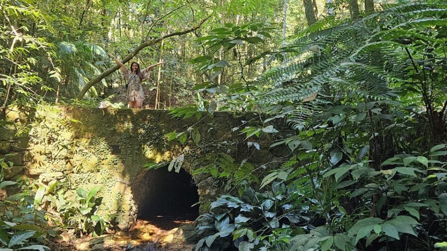 Tijuca National Park and all its wonders! - Hiking 6 to 12 km: Choosing the Right Pace for Your Day